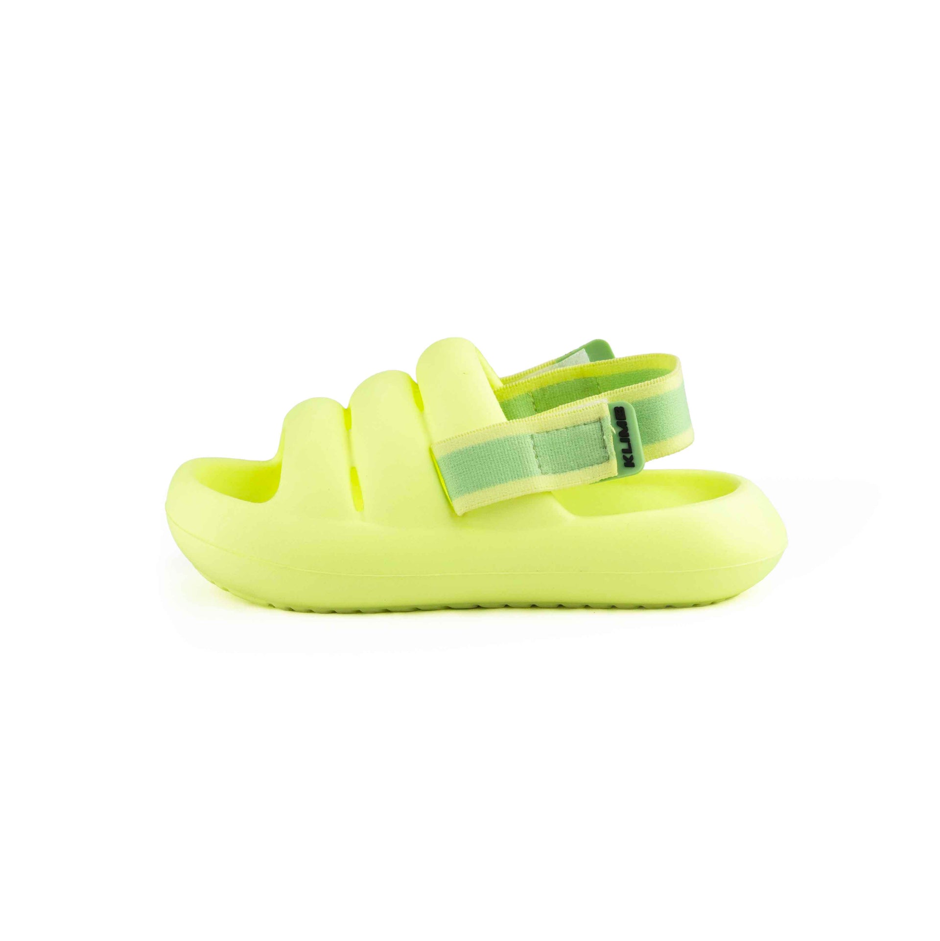 Bumble Bee - Muted Light Green