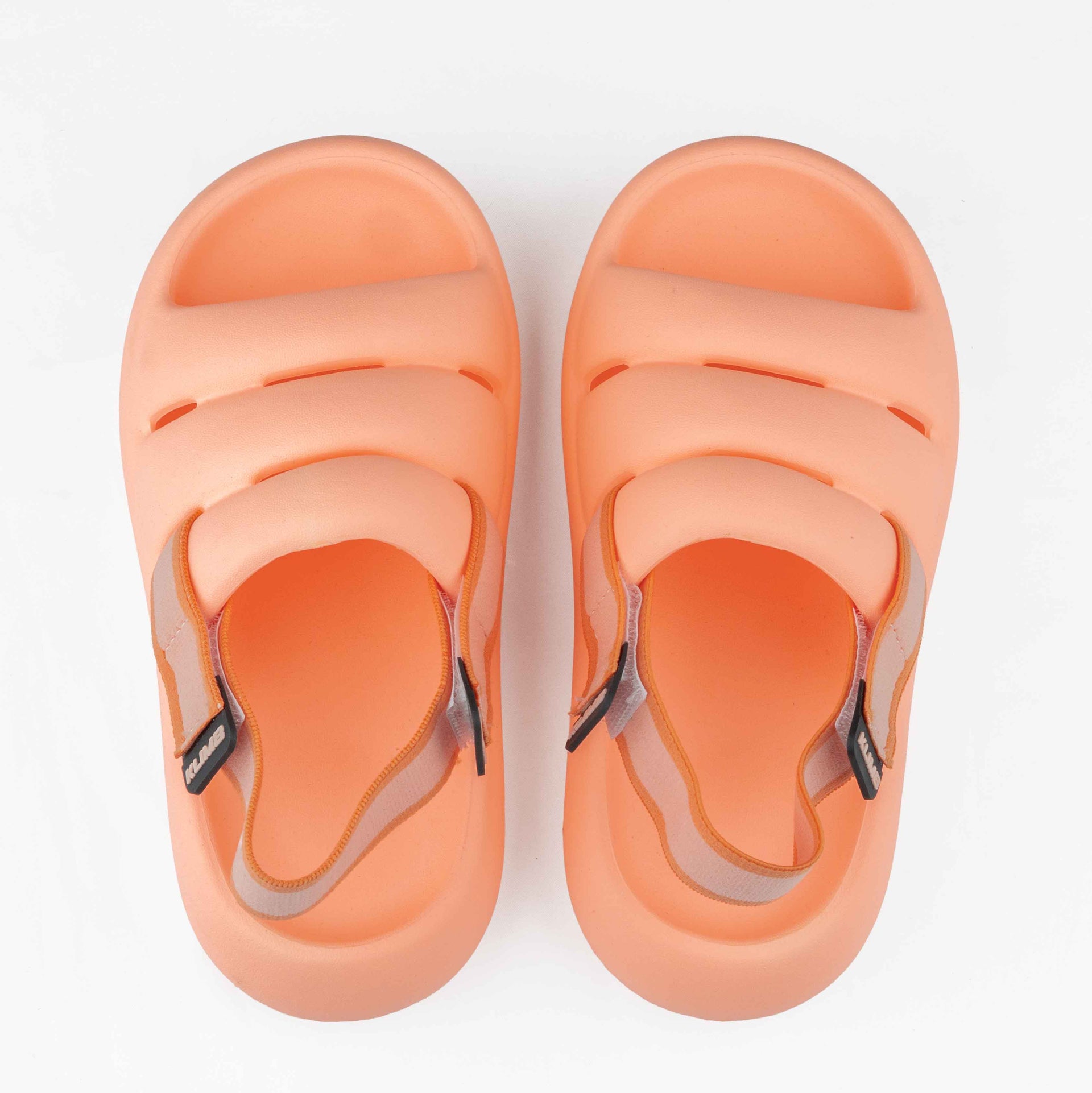 Bumble Bee - Coral Pink