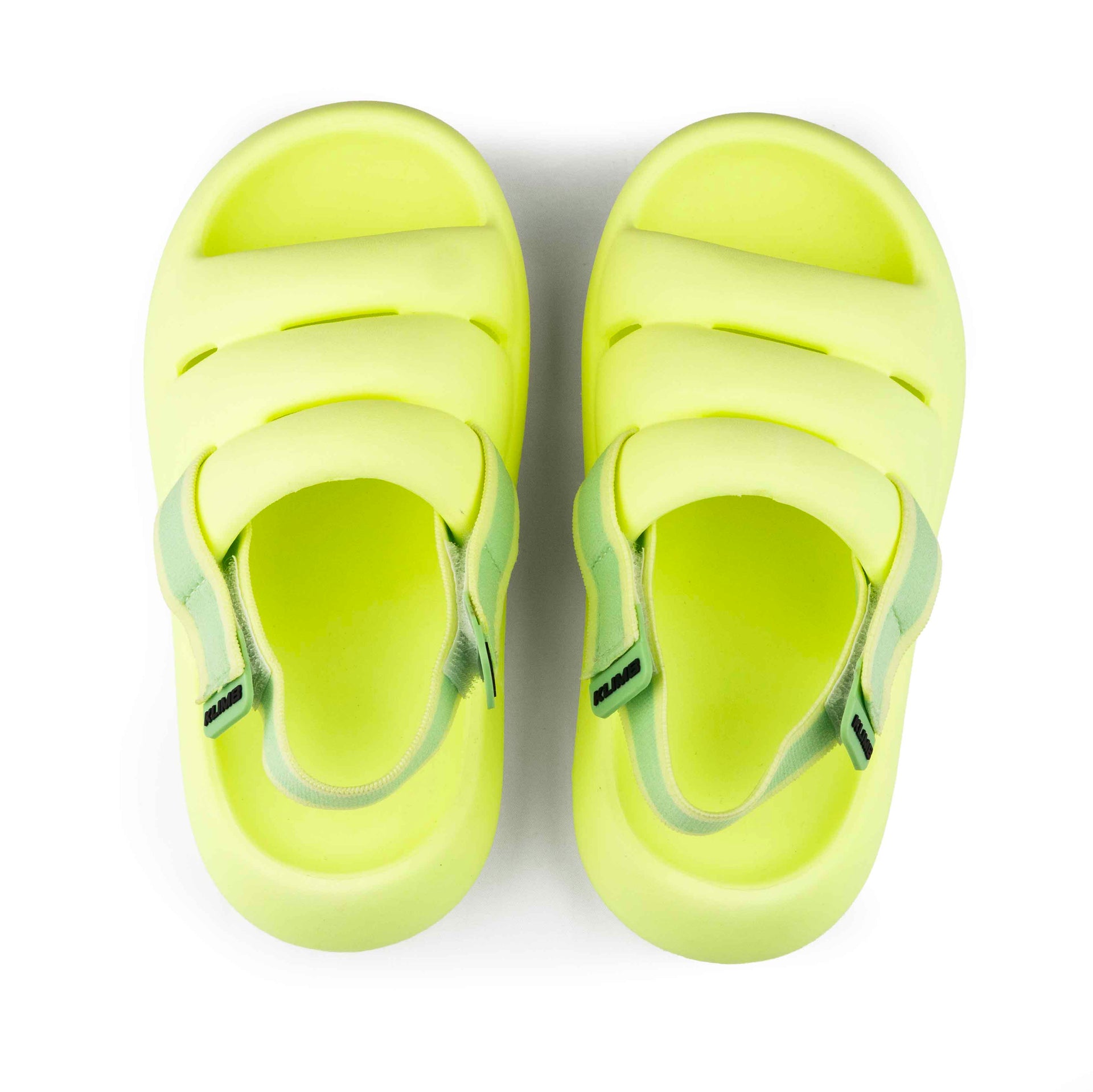 Bumble Bee - Muted Light Green